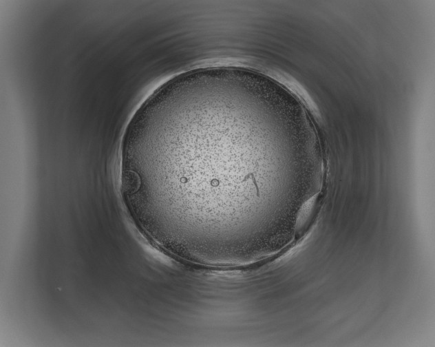 X0000111120844200907070956