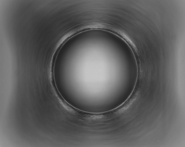 X0000111120845200907070956