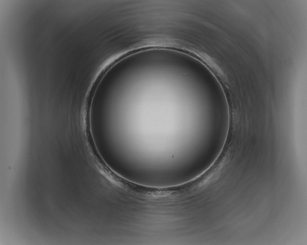 X0000111120846200907070956