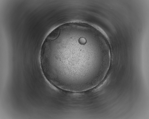 X0000111120847200907070956