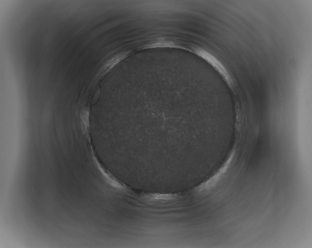 X0000111120849200907070956