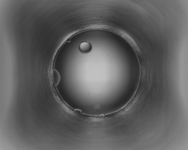 X0000111120852200907070956