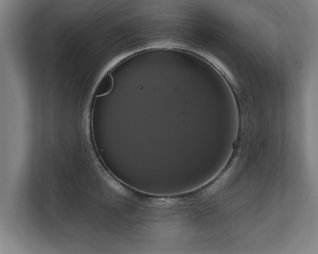 X0000111120854200907070956