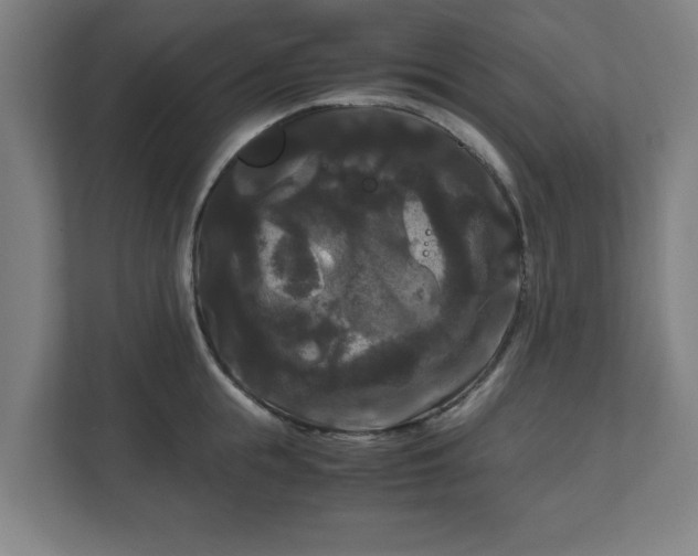 X0000111120855200907070956