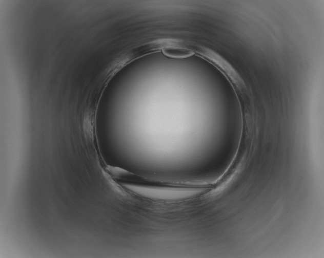 X0000111120857200907070956