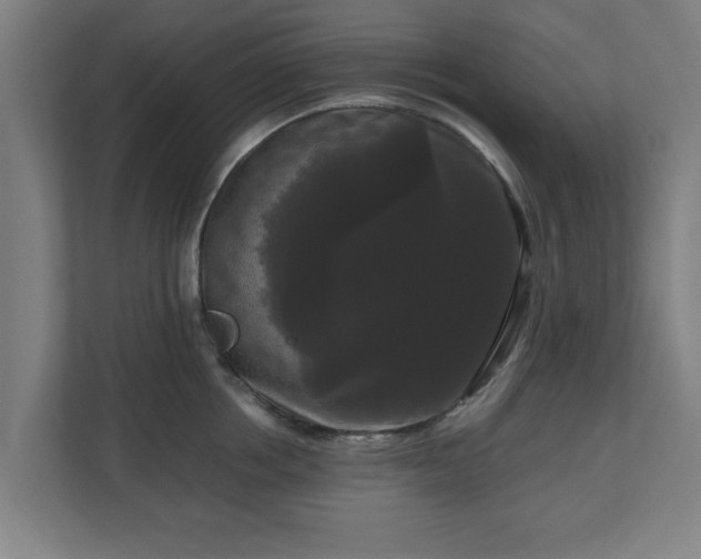 X0000111120858200907070956