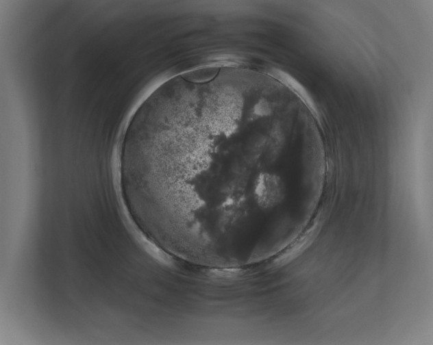 X0000111120859200907070956