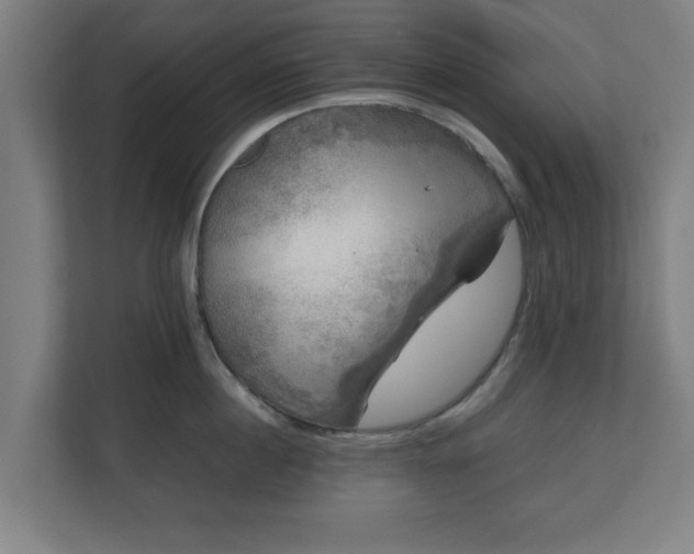 X0000111120860200907070956