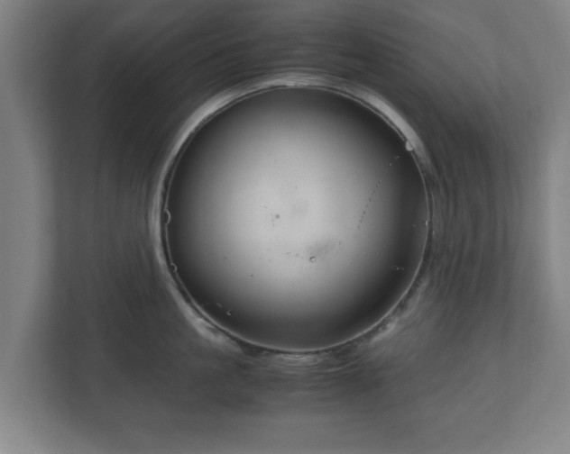 X0000111120861200907070956