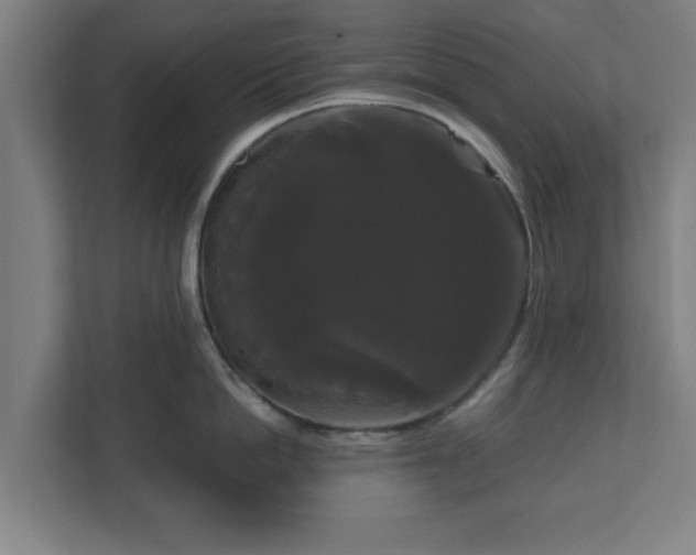 X0000111120862200907070956