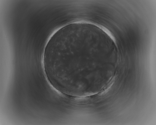 X0000111120863200907070956