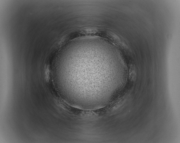 X0000111120866200907070955