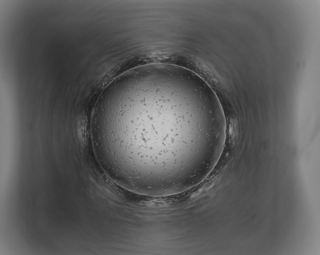 X0000111120867200907070955