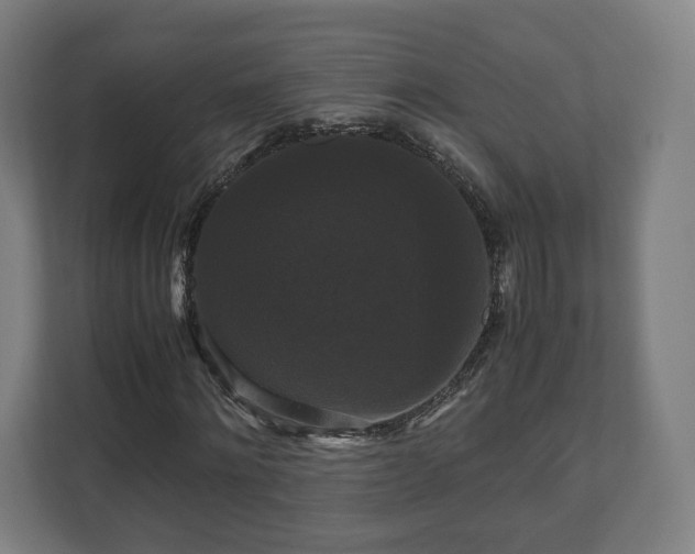 X0000111120868200907070955