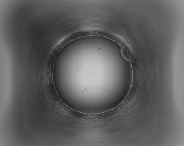 X0000111120871200907070955