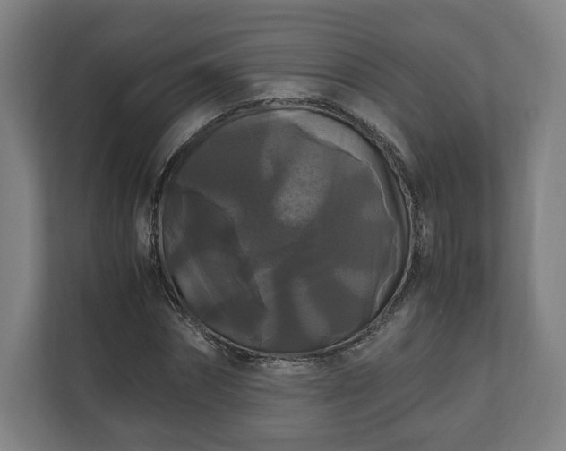 X0000111120874200907070955