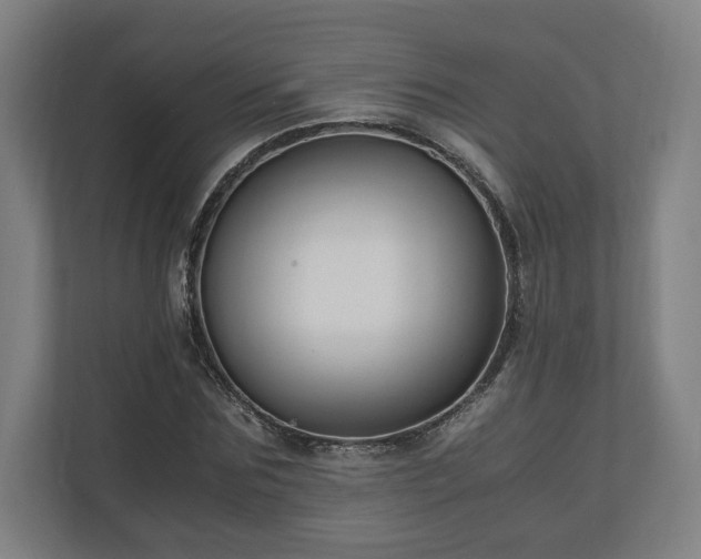 X0000111120875200907070955