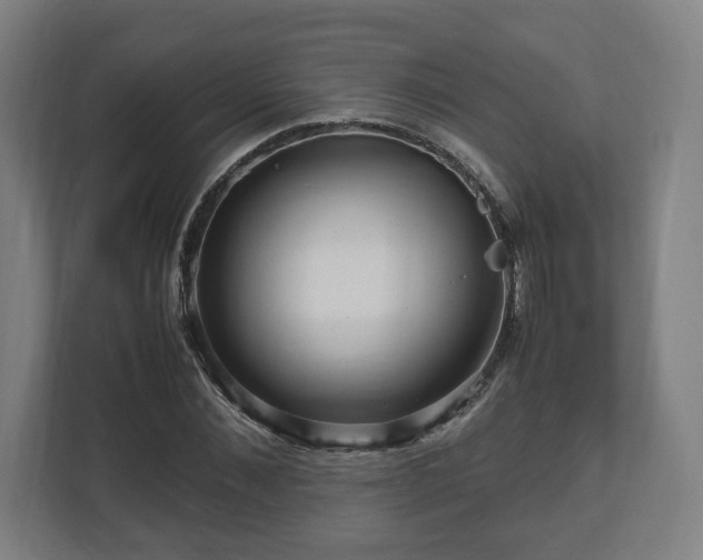 X0000111120876200907070955