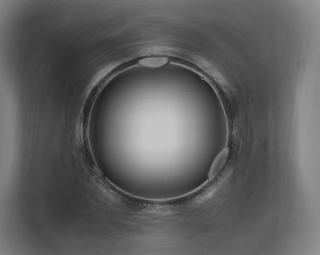 X0000111120877200907070955