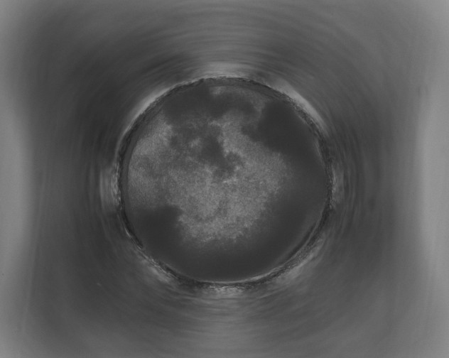 X0000111120878200907070955