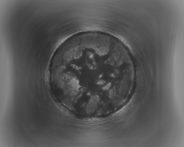 X0000111120879200907070955