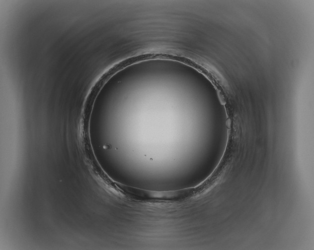 X0000111120880200907070955