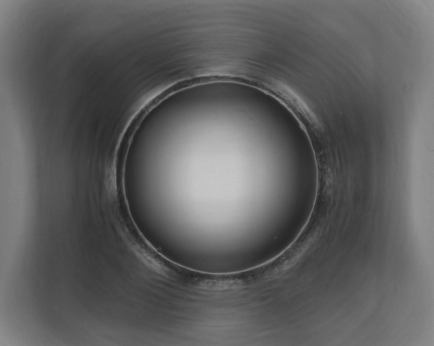 X0000111120884200907070955