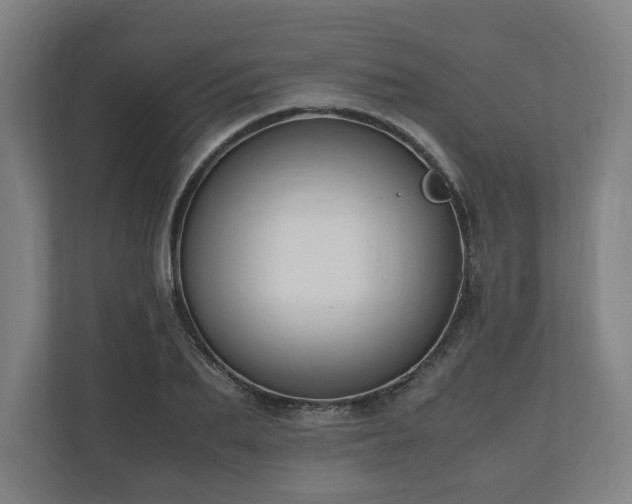 X0000111120887200907070955