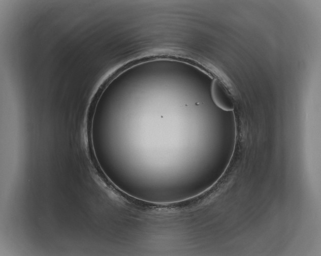 X0000111120888200907070955