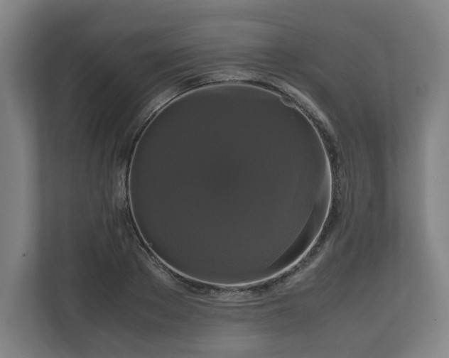 X0000111120889200907070955