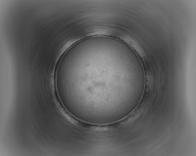 X0000111120890200907070955