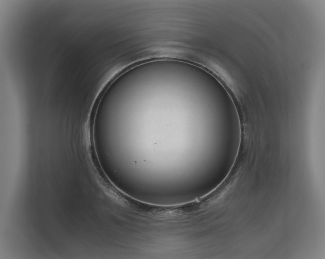 X0000111120891200907070955