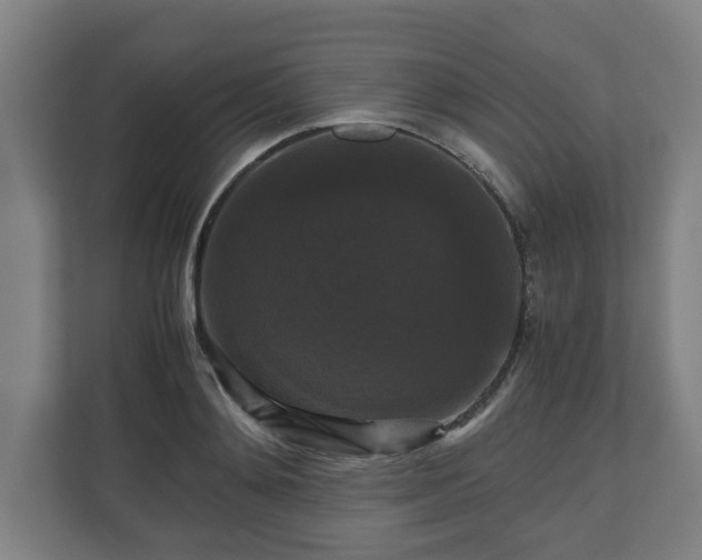 X0000111120892200907070955