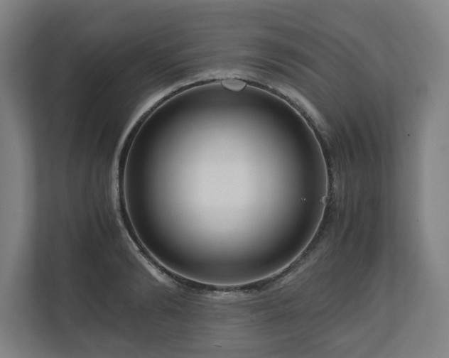 X0000111120894200907070955