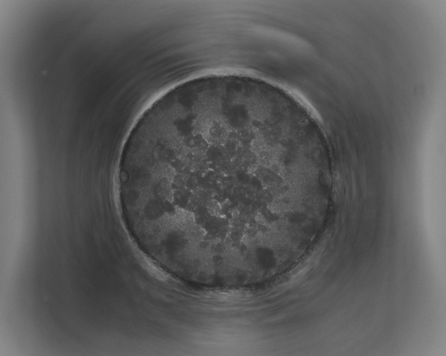 X0000111120895200907070955