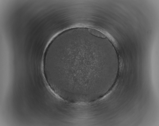 X0000111120896200907070955