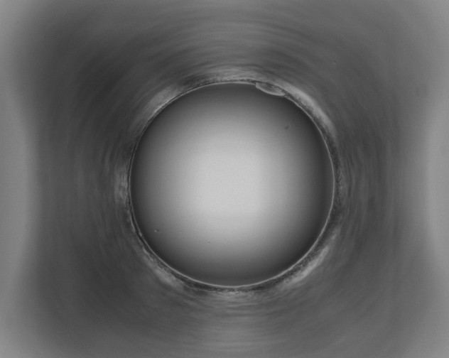 X0000111120897200907070955