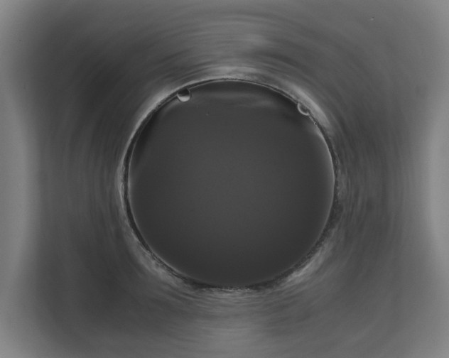 X0000111120899200907070955