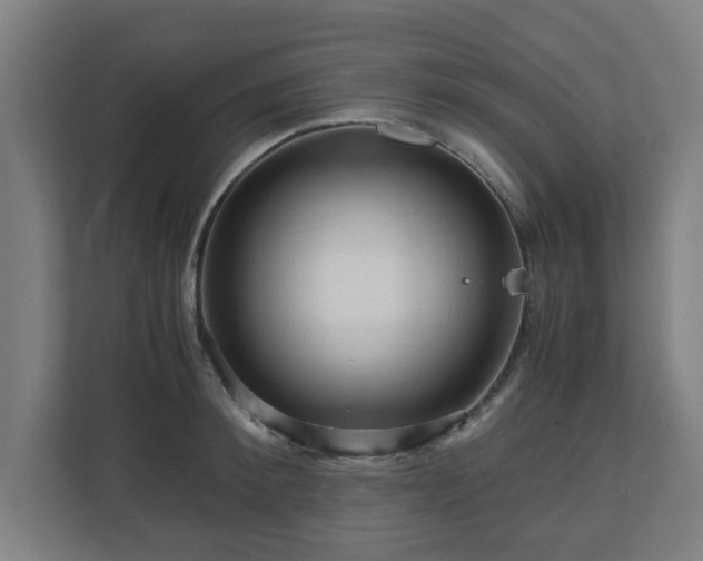 X0000111120900200907070955