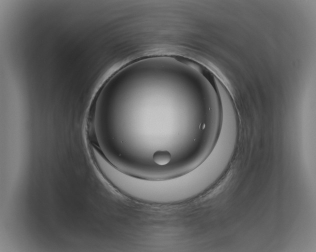 X0000111120901200907070955