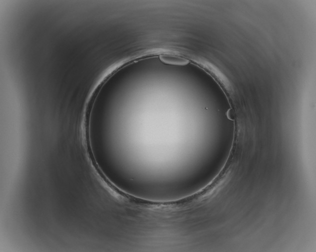 X0000111120902200907070955