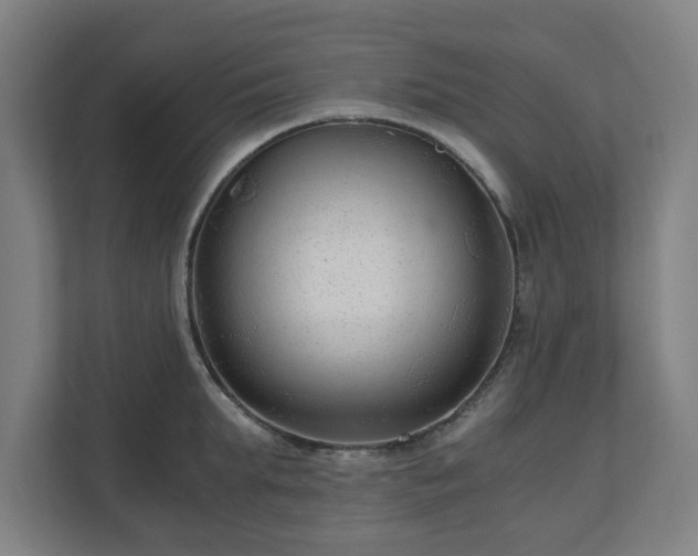 X0000111120903200907070955