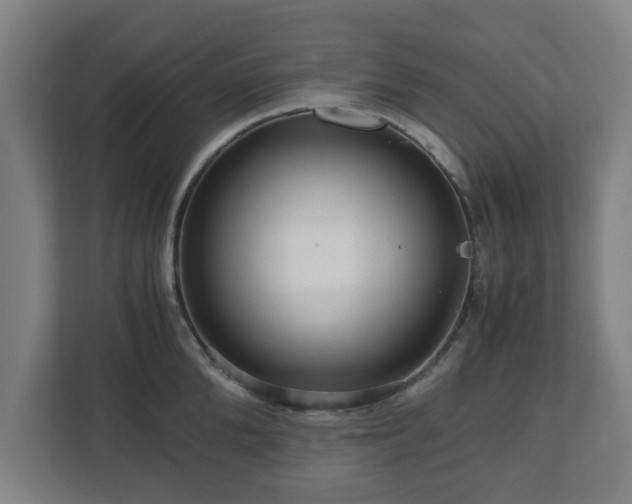 X0000111120904200907070955