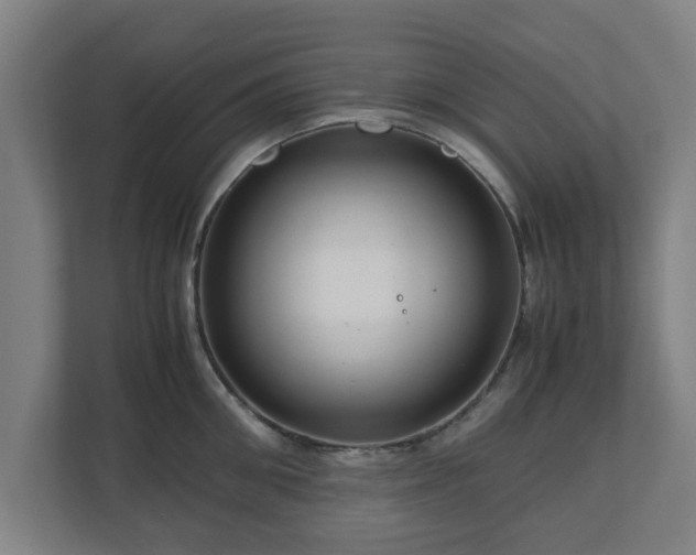 X0000111120906200907070955