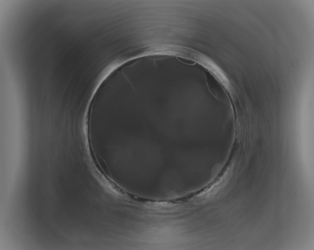 X0000111120907200907070955