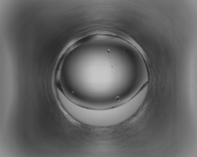 X0000111120909200907070955