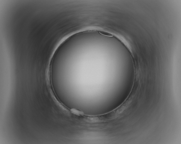 X0000111120911200907070955