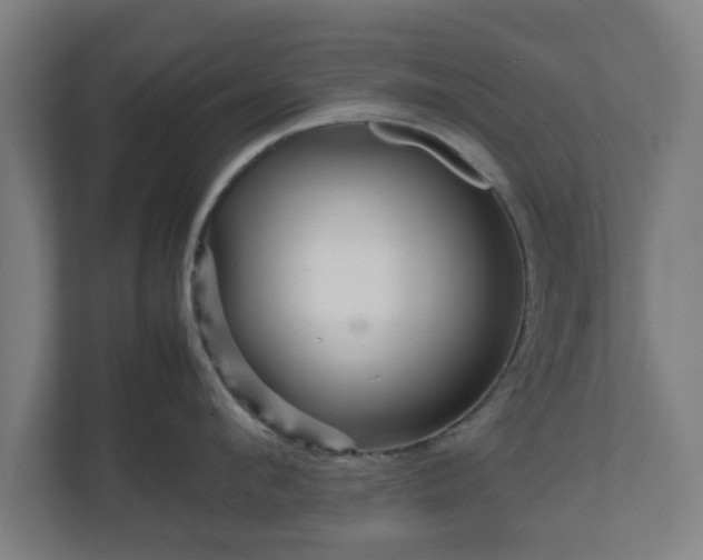 X0000111120912200907070955