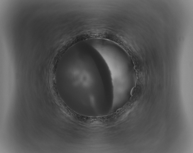 X0000111120913200907070954