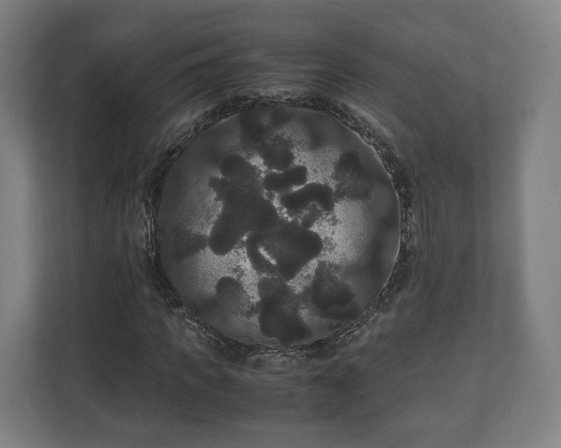 X0000111120917200907070954